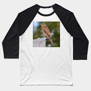 kestrel Baseball T-Shirt